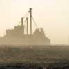 Environmental Scientists Find Antibiotics, Bacteria, Resistance Genes in Feedlot Dust