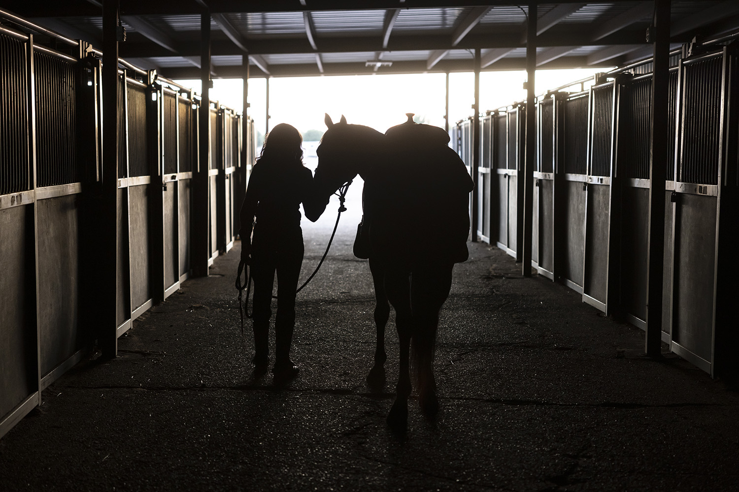 Into the Fold: Texas Tech Welcomes Masked Rider's New Horse | TTU